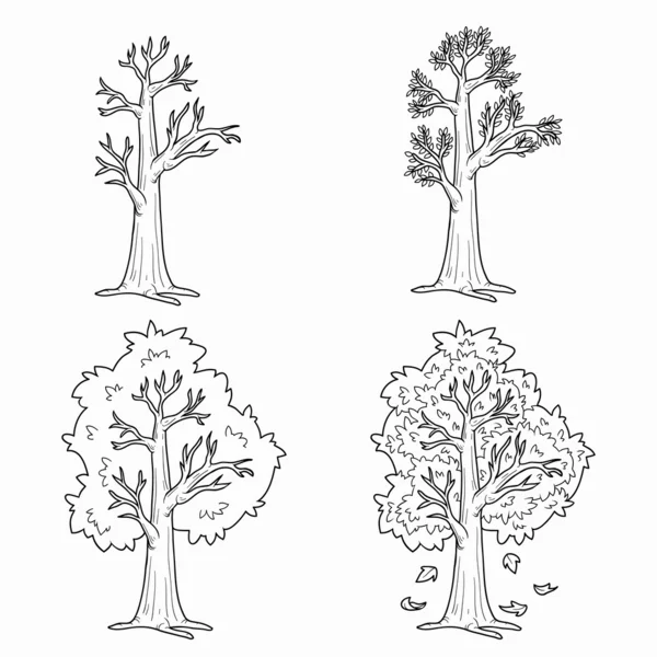 Coloring book (Four Seasons), vector set of trees — Stock Vector