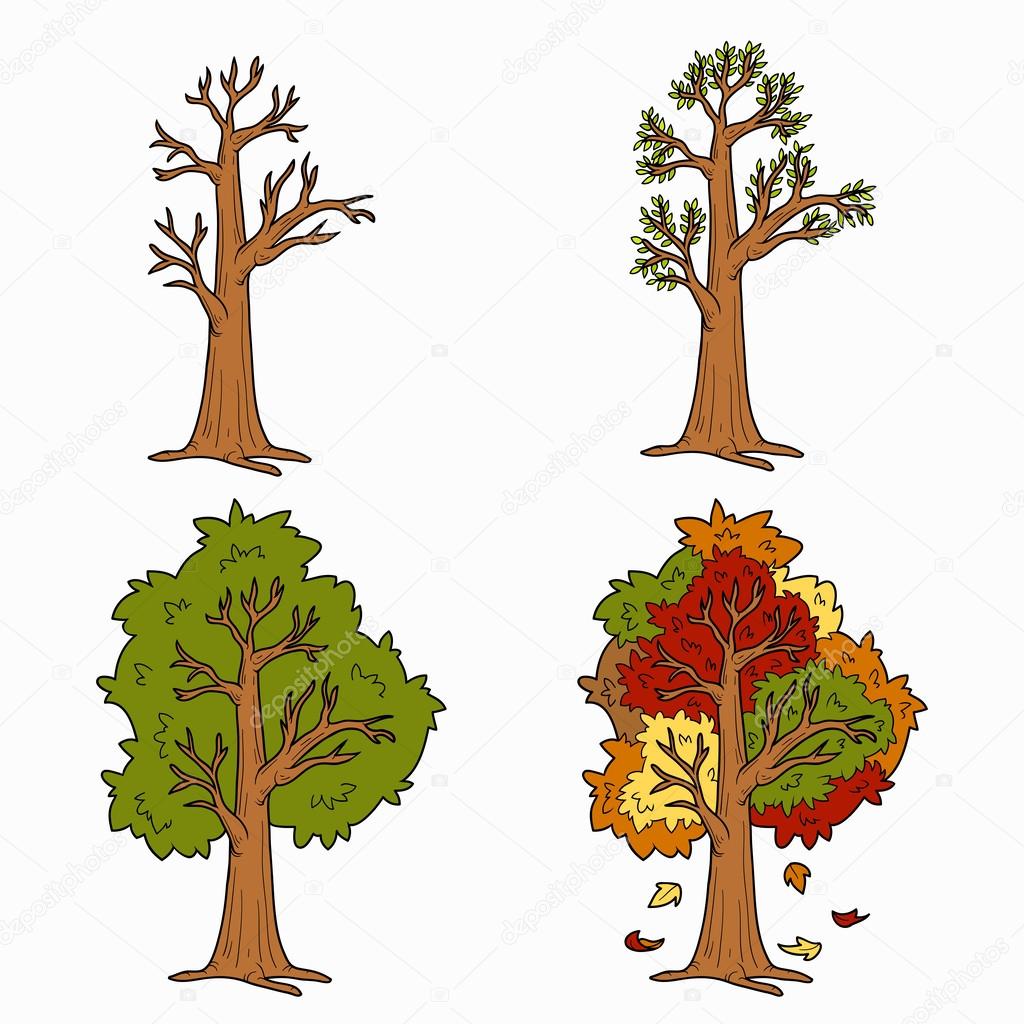 Four Seasons, vector set of trees