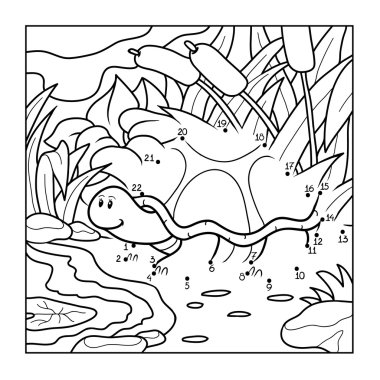 Sayı oyunu (kaplumbağa)