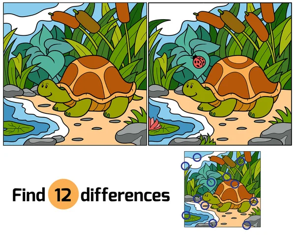 Encontrar diferencias (tortuga ) — Vector de stock