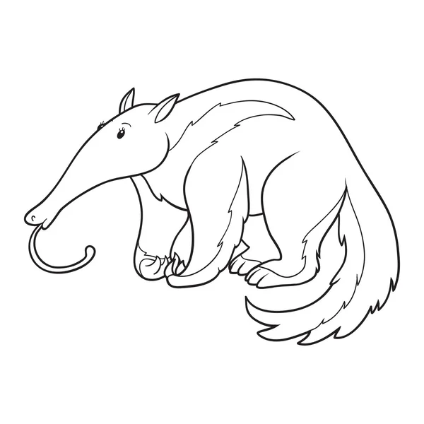 Coloring book (anteater) — Stock Vector