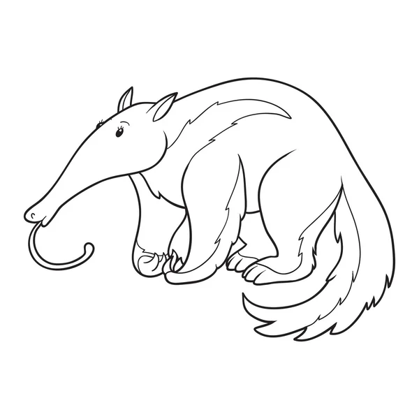 Kleurboek (anteater) — Stockvector