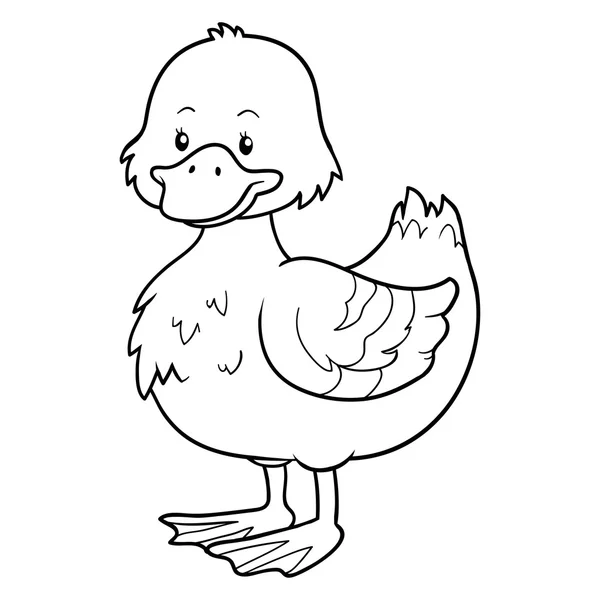 Libro para colorear (pato ) — Vector de stock