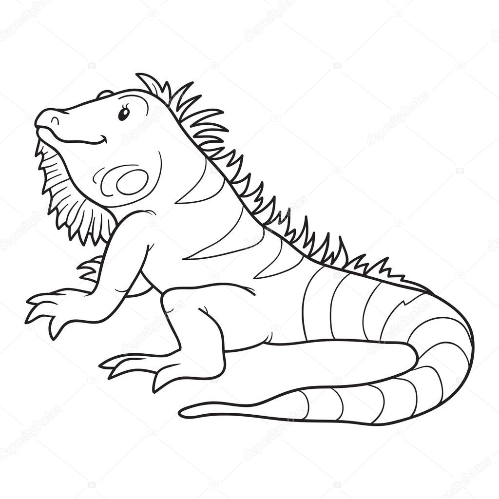 á Iguana Para Imprimir Imagenes De Stock Dibujos Iguana Para Colorear Descargar En Depositphotos