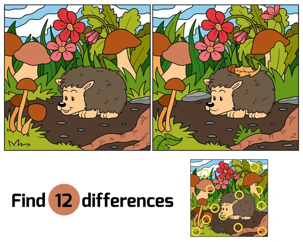 Encontrar diferencias (erizo ) — Vector de stock