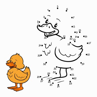Sayı oyunu (ördek)