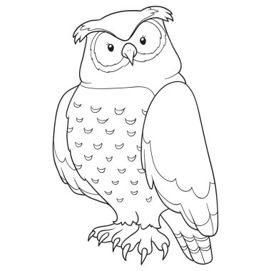 boyama kitabı (Baykuş)