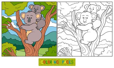 Boyama kitabı (koala)