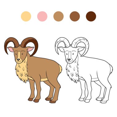 Boyama kitabı (urial)