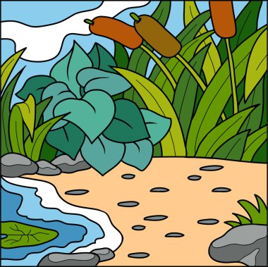 Vektör çizim, doğal arka plan (havuz ve plaj)