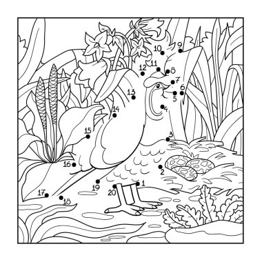 Sayı oyunu (bıldırcın, kuş)