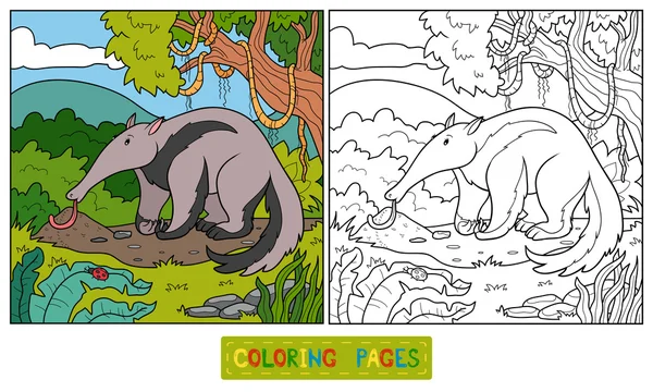 Kleurboek (anteater) — Stockvector