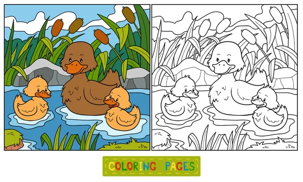 Coloring book (duck) — Stock Vector