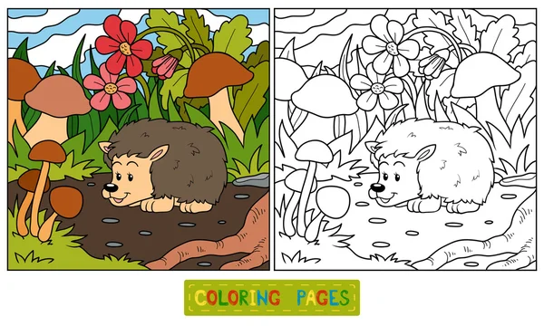 Coloring book (hedgehog) — Stock Vector