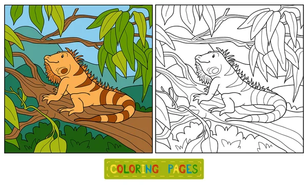 Coloring book (iguana) — Stock Vector