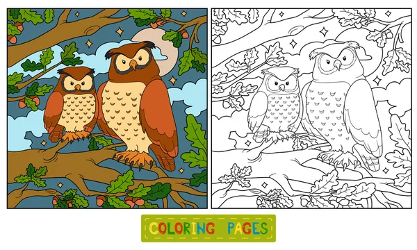 Coloring book (owl) — Stock Vector