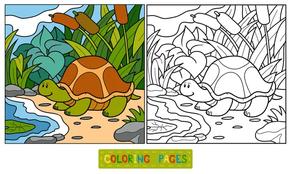 Livro para colorir (tartaruga) ) — Vetor de Stock