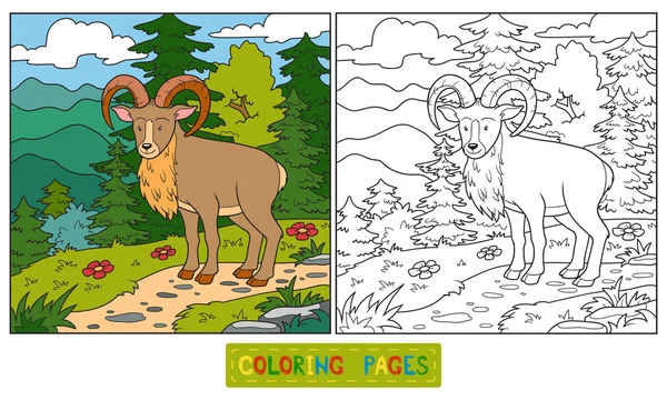 Livro para colorir (urial ) — Vetor de Stock