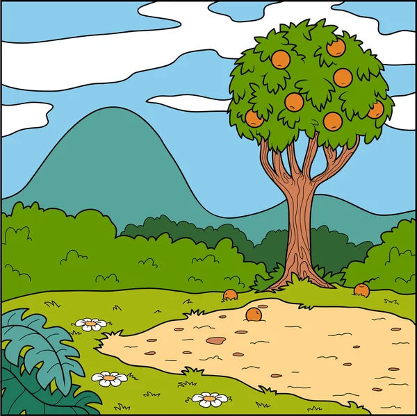 Εικονογράφηση φορέας, φυσικό υπόβαθρο (ξέφωτο και πορτοκαλί δέντρο) — Διανυσματικό Αρχείο