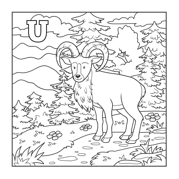 Kolorowanka (urial), bezbarwny ilustracja (litera U) — Wektor stockowy
