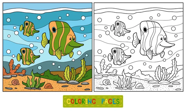 Livro para colorir (família de peixes ) Vetor De Stock