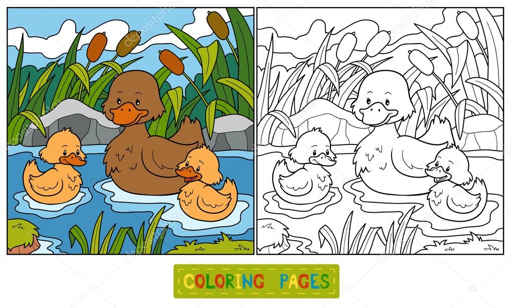 Coloring book (duck)
