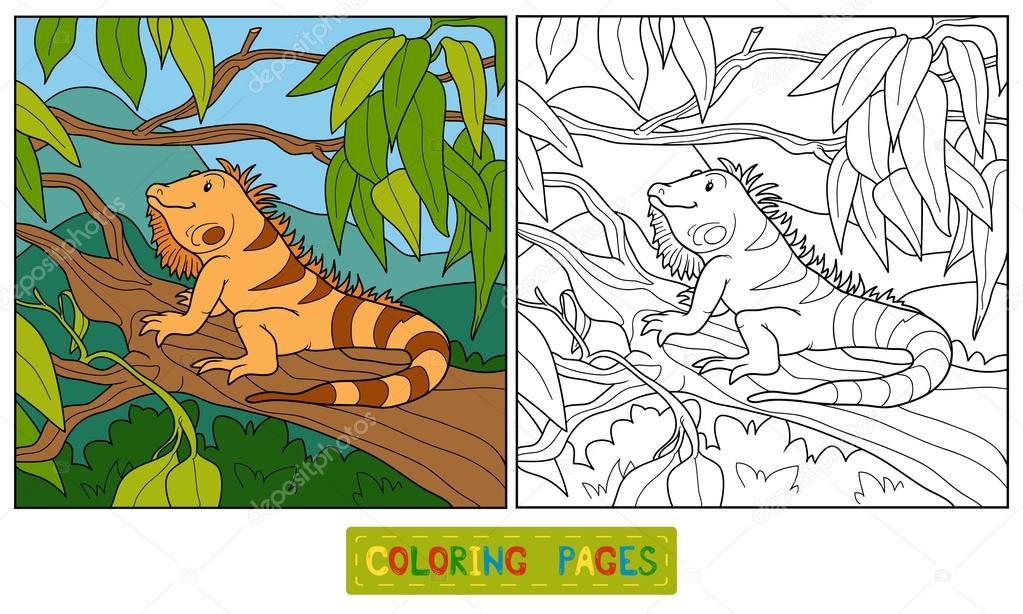 Coloring book (iguana) Stock Vector Image by ©ksenya_savva #69832311 Coloring book (iguana) Stock Vector Image by ©ksenya_savva #69832311
