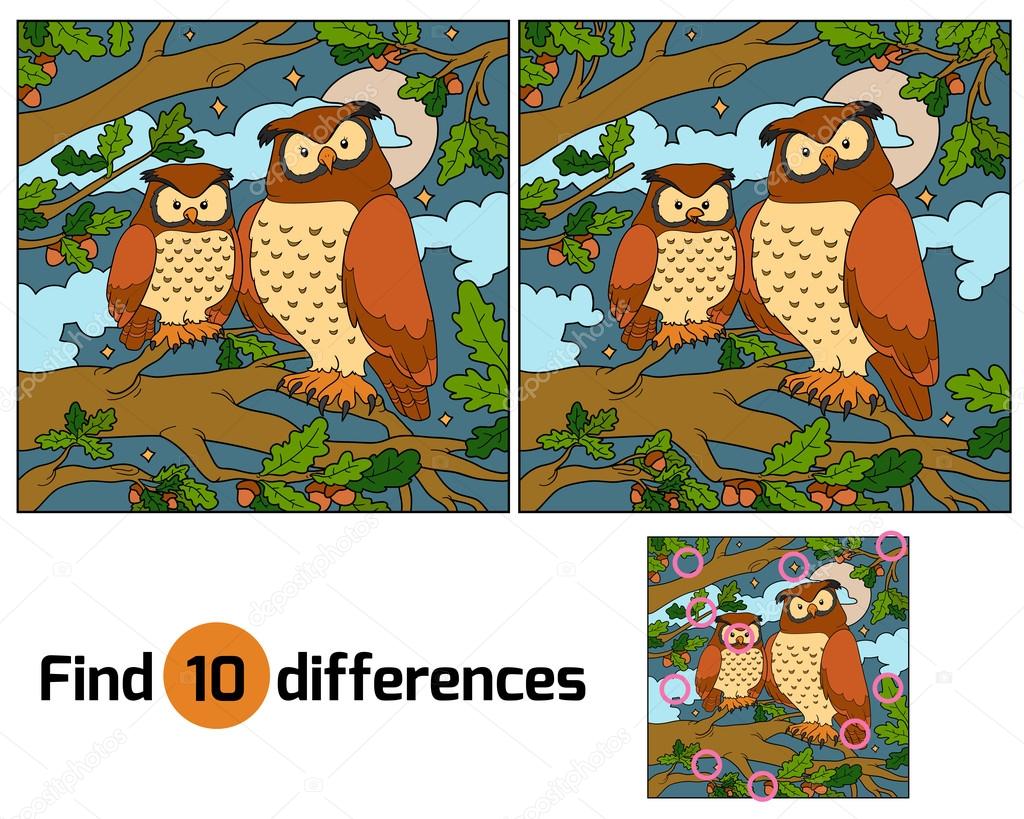 Find differences (owl)