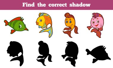 Doğru gölge (balık bulmak)