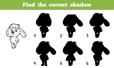 Doğru gölge (tavşan bulmak)