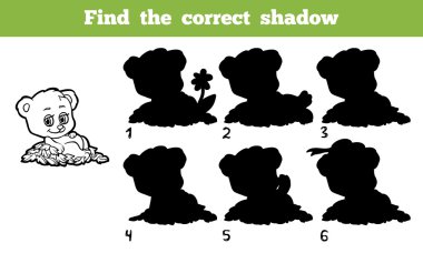 Doğru gölge (ayı bulmak)