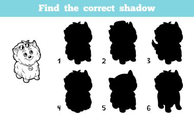 Doğru gölge (köpek bulmak)