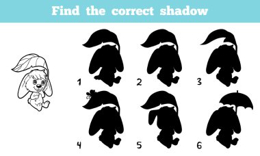 Doğru gölge (tavşan bulmak)