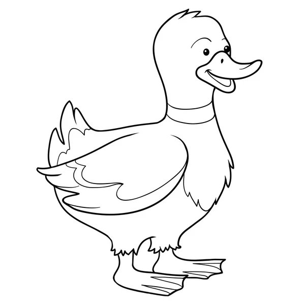 Libro para colorear (pato ) — Vector de stock