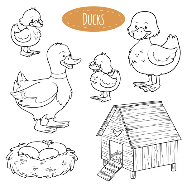 Reihe von niedlichen Nutztieren und Objekten, Vektor Familie Enten — Stockvektor