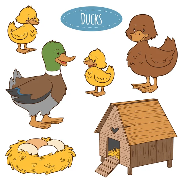 Conjunto de lindos animales de granja y objetos, vector familia pato, colori — Archivo Imágenes Vectoriales