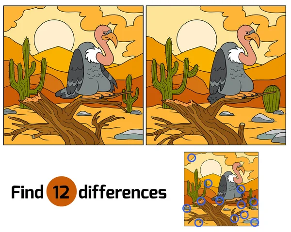 Trouver des différences (vautour ) — Image vectorielle