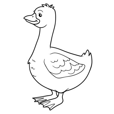 Boyama kitabı (kaz)