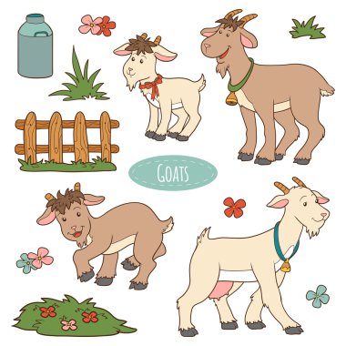 Set of cute farm animals and objects, vector family goats clipart