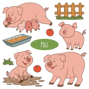 Set of cute farm animals and objects, vector family pigs clipart