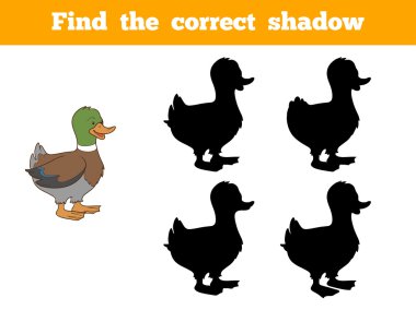 Doğru gölge (ördek bulmak)