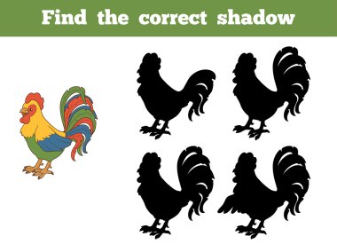 Doğru gölge (horoz bulmak)