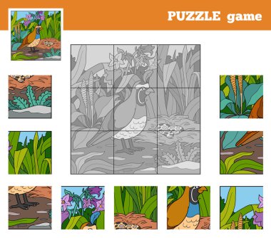 Hayvanlar (bıldırcın olan çocuklar için puzzle oyunu)