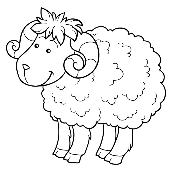 Kleurboek (schapen) — Stockvector