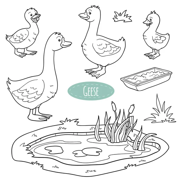 Set of cute farm animals and objects, vector goose family — Stock Vector