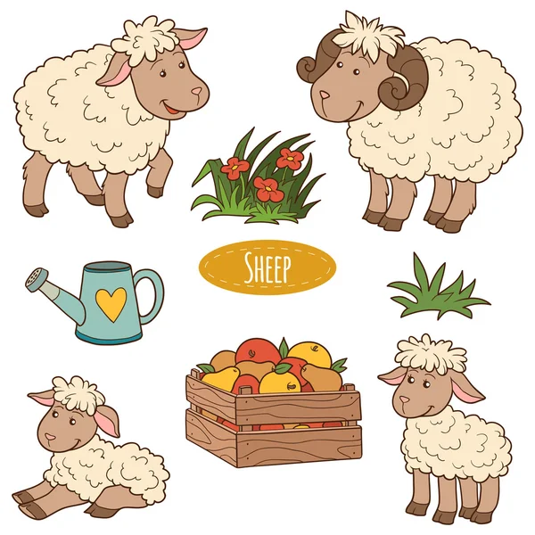 Color set of cute farm animals and objects, vector family sheep — Stock Vector