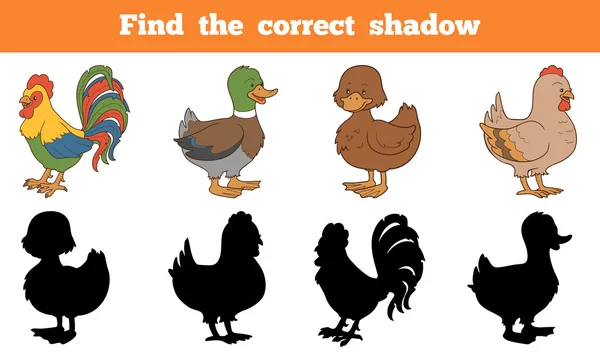 Βρείτε τη σωστή σκιά: γεωργικά ζώα (κοτόπουλο και οι πάπιες) — Διανυσματικό Αρχείο