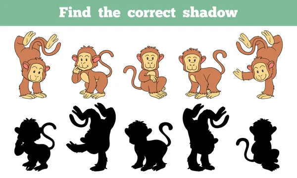 Βρείτε τη σωστή σκιά (μαϊμού) — Διανυσματικό Αρχείο