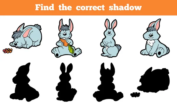 正しい影 (ウサギを見つける) — ストックベクタ