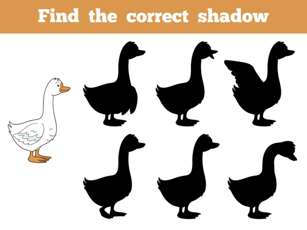 Trouver l'ombre correcte (oie ) — Image vectorielle